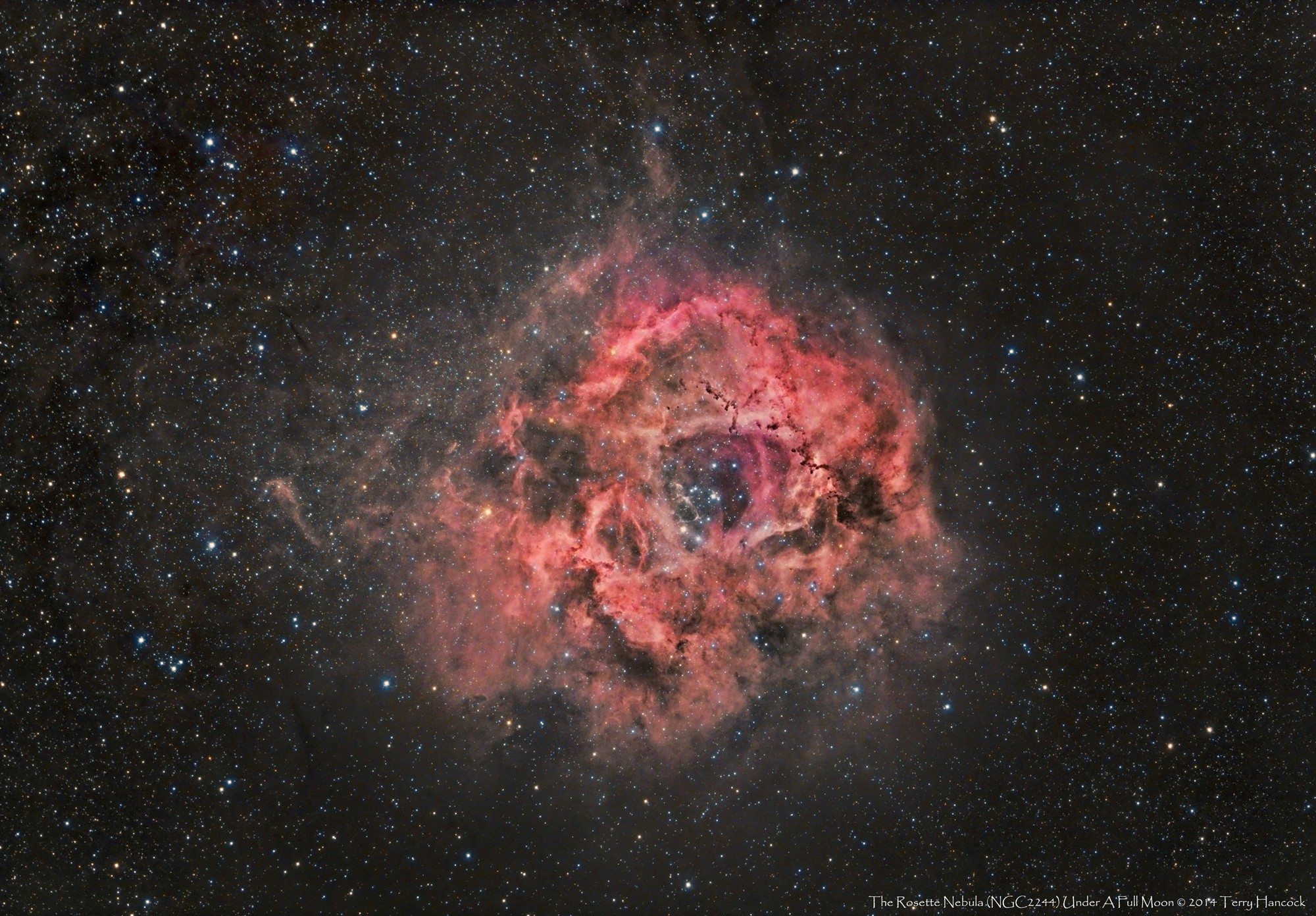 Rosette Nebula Blooms with Color in Amazing Amateur Photo